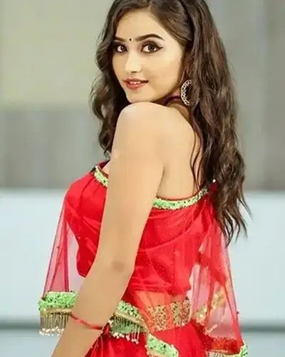 Call Girls Service Vijayanagar